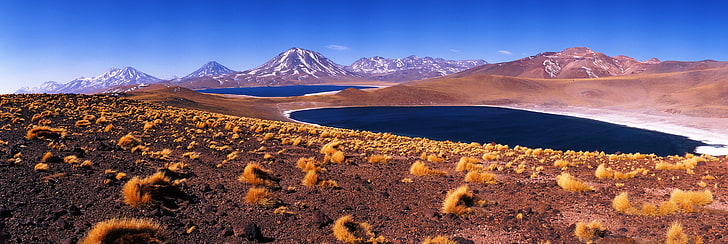panoramas, desert, mountains, Chile, dry grass, nature, landscape, blue, yellow, snowy peak, HD wallpaper