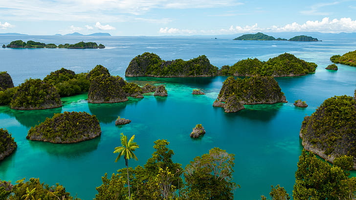 Nurkowanie w Raja Ampat w Indonezji na tropikalnych wyspach jest jednymi z najlepszych na świecie. Tapeta HD 1920 × 1080, Tapety HD