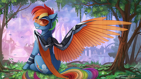 My Little Pony, Rainbow Dash, cartoon, HD wallpaper HD wallpaper