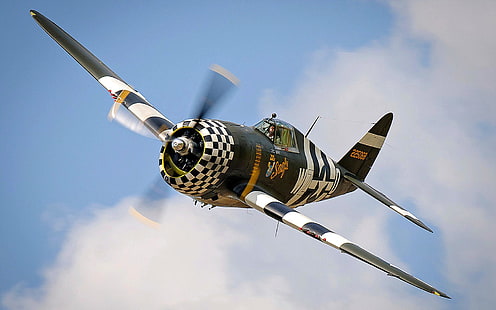 Schwarz-Weiß-Eindecker, Jagdbomber, The Second World, P-47 Thunderbolt, US-Luftwaffe, HD-Hintergrundbild HD wallpaper