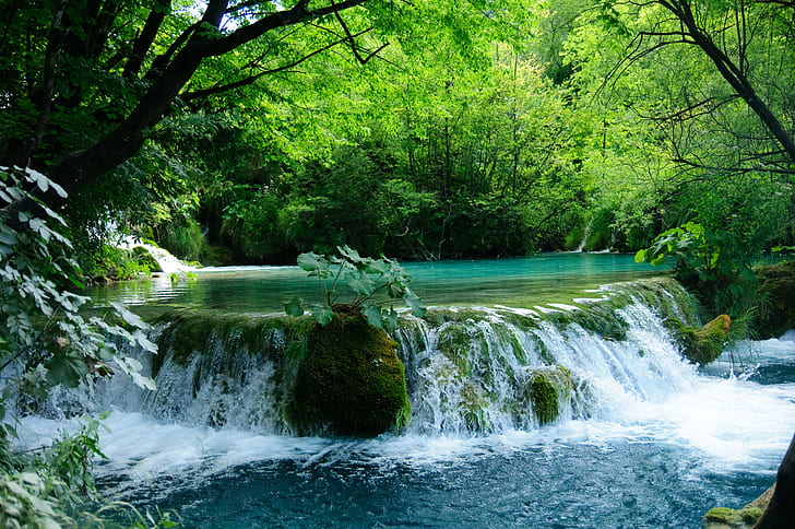 滝、ACA、写真、緑の葉、植物、プリトヴィチェ、滝、湖、ニコンD300、クロアチア、自然、川、森、木、小川、水、鮮度、熱帯雨林、風景、緑風景、葉、自然の美しさ、屋外、 HDデスクトップの壁紙
