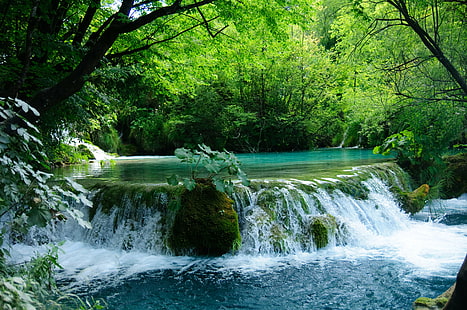 滝、ACA、写真、緑の葉、植物、プリトヴィチェ、滝、湖、ニコンD300、クロアチア、自然、川、森、木、小川、水、鮮度、熱帯雨林、風景、緑風景、葉、自然の美しさ、屋外、 HDデスクトップの壁紙 HD wallpaper