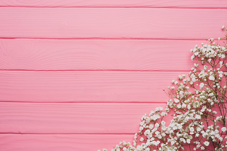 weiße Baby-Atem-Blume, Blumen, Hintergrund, Baum, rosa, Textur, aus Holz, Frühling, zart, floral, HD-Hintergrundbild