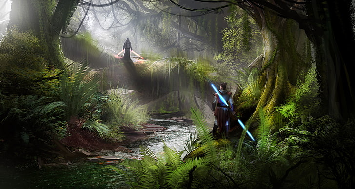 papel pintado del bosque, Jedi, sable de luz, Sith, bosque, Fondo de pantalla HD