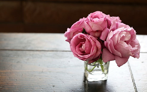 Vaso Acqua Fiori Rose rosa, vaso, acqua, fiori, rosa, rose, Sfondo HD HD wallpaper