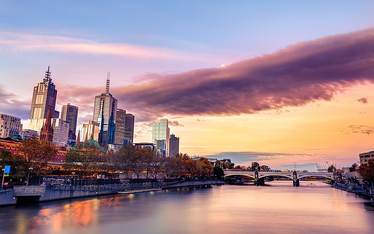 도시 건물, 도시 풍경, 멜버른, 호주, HD 배경 화면