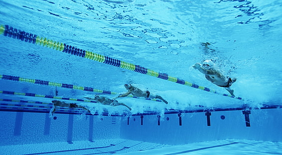 Berenang Gaya Bebas, kolam renang biru, Olahraga, Olahraga Lainnya, Berenang, gaya, Wallpaper HD HD wallpaper
