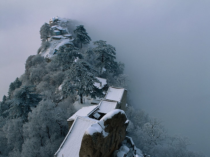 green trees, china, snow, view from the top, fog, roof, trees, HD wallpaper