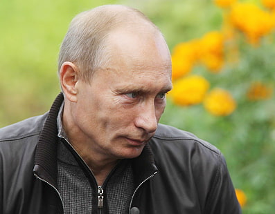 Vladimir Putin 4k ladda ner hd för skrivbordet, HD tapet HD wallpaper