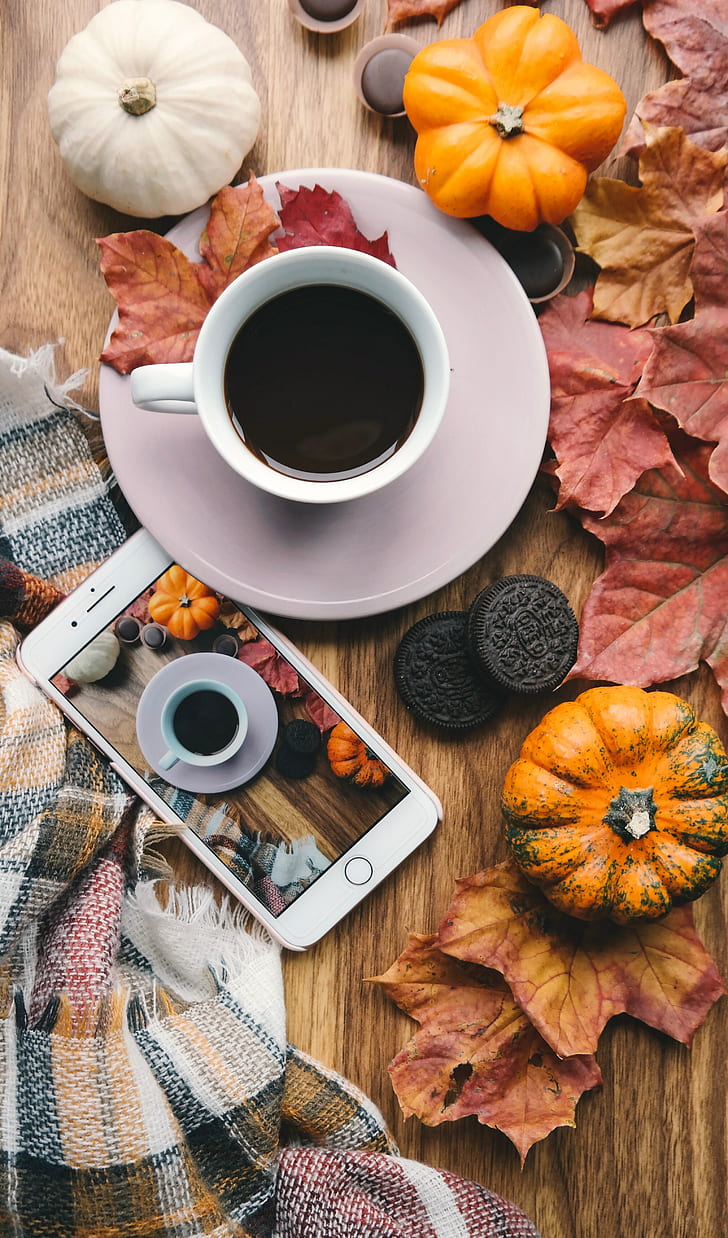 Kaffee, Kürbis, Blätter, Telefon, HD-Hintergrundbild, Handy-Hintergrundbild