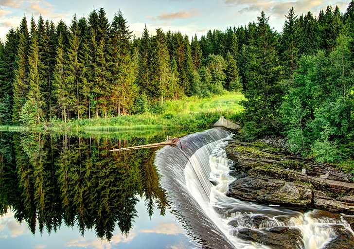 cachoeiras perto de árvores de folhas verdes durante o dia, paisagem, floresta, rio, água, pinheiros, HD papel de parede