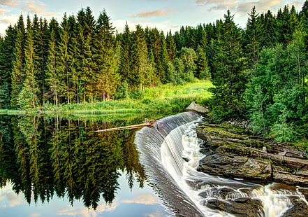 cachoeiras perto de árvores de folhas verdes durante o dia, paisagem, floresta, rio, água, pinheiros, HD papel de parede HD wallpaper