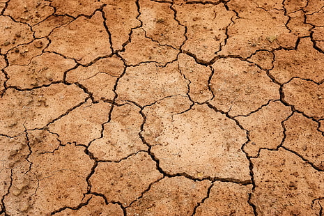 cracked, earth, nature, drought, ground, dehydrated, HD wallpaper HD wallpaper