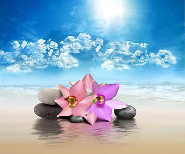 rosa und lila Blumen, Meer, der Himmel, Blumen, Natur, Steine, Himmel, Badekurort, Felsen, HD-Hintergrundbild HD wallpaper