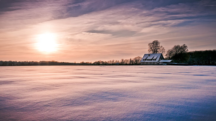 rumah putih dan pohon hijau, pondok, penutup, salju, karpet, salju, matahari, awan, Wallpaper HD