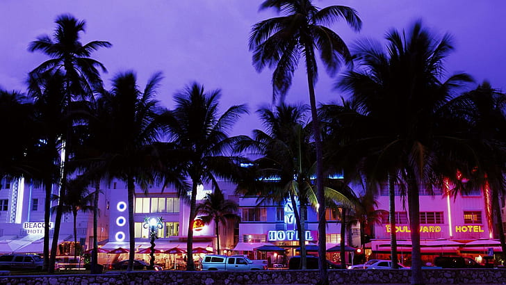 South Beach Hotel Row, palm tree  silhouette and white building, hotels, purple, neon, palms, nature and landscapes, HD wallpaper
