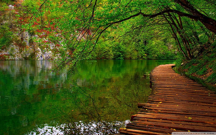 Wallpaper Natural River Wooden Path 2560 × 1600, Wallpaper HD