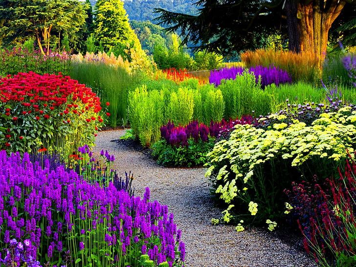 Taman Alley, indah, alam, bagus, indah, bunga, warna, pohon, damai, penuh warna, gang, ungu, Wallpaper HD