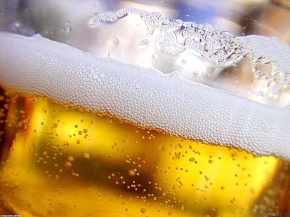 ビール、飲み物、 HDデスクトップの壁紙 HD wallpaper