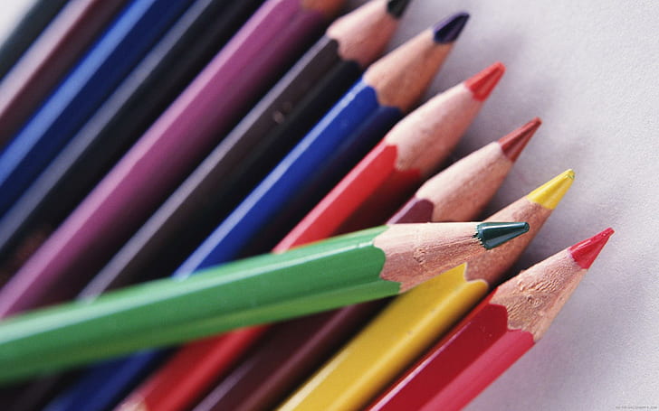 Colored pencils, color pencil, pencil, color, school, diverse, HD wallpaper