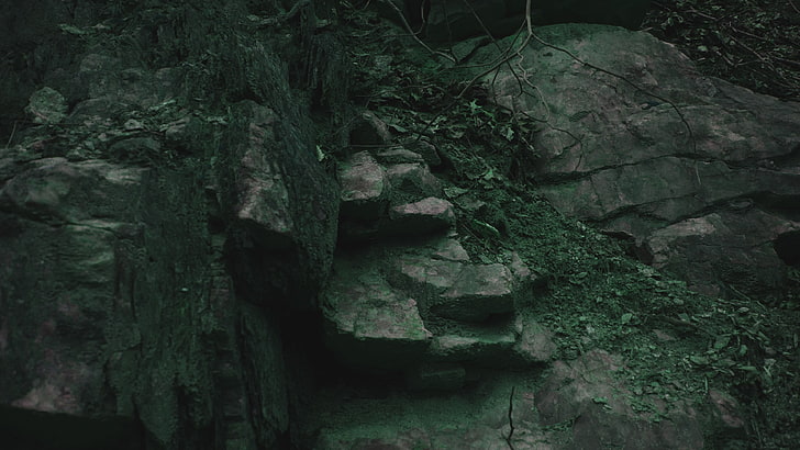 briques de béton vert et brun, nature, roche, Fond d'écran HD