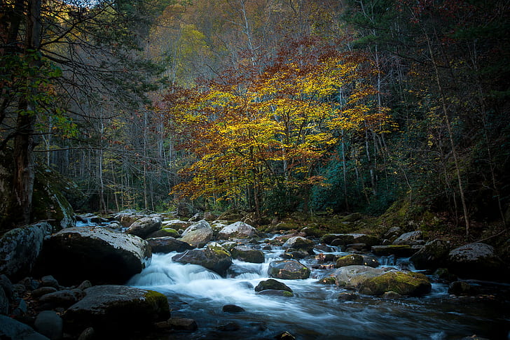time lapse photography of body of water between the trees, Colorful, Part 1, time lapse photography, body of water, between the trees, townsend, tn, color, fall  river, rocks, nature, forest, autumn, stream, tree, river, leaf, landscape, outdoors, scenics, water, waterfall, beauty In Nature, woodland, flowing Water, rock - Object, HD wallpaper