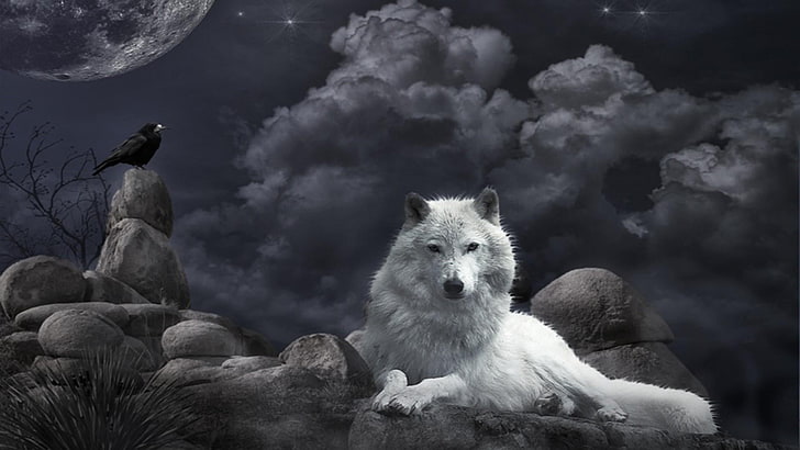 sztuka fantasy, wilk, kruk, księżyc, chmury, nocne niebo, noc, gwiazdy, Tapety HD