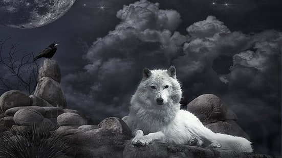 фэнтези арт, волк, ворон, луна, облака, ночное небо, ночь, звезды, HD обои HD wallpaper