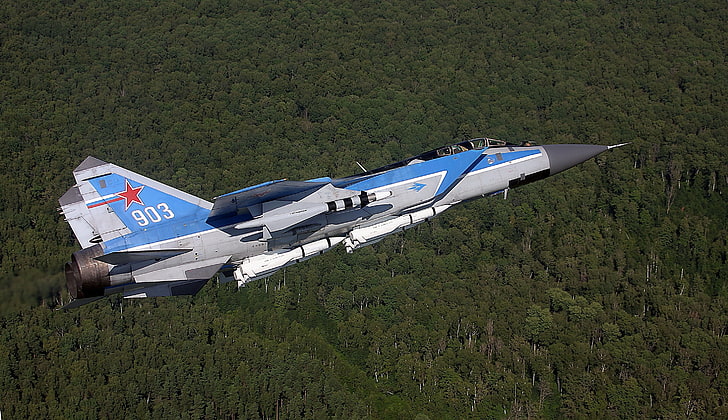 グレーとブルーの航空機、航空機、ミコヤンMiG-31、森林、軍用機、車両、 HDデスクトップの壁紙