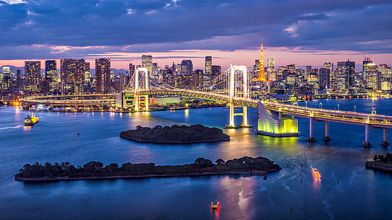 橋、レインボーブリッジ、ベイ、ブリッジ、建物、都市、島、日本、光、スカイライン、東京、東京湾、 HDデスクトップの壁紙 HD wallpaper
