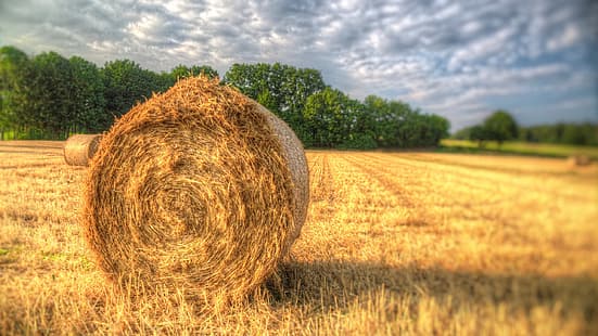  outdoors, field, straw, hay bales, HD wallpaper HD wallpaper