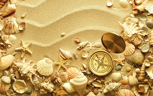 bússola dourada, praia, bússola, areia, concha, viagem, HD papel de parede HD wallpaper