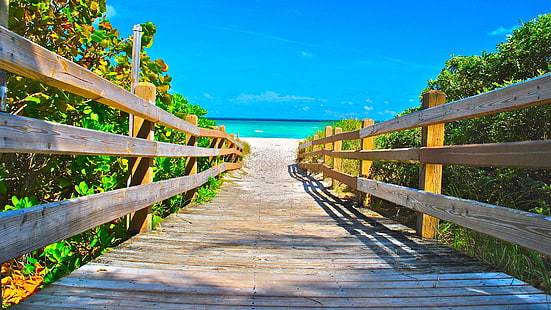 Miami, pasarela, playa, cielo, paseo marítimo, árbol, planta, Estados Unidos, ocio, paisaje, Estados Unidos, madera, muelle, Fondo de pantalla HD HD wallpaper