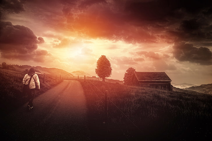 road, clouds, tree, Here comes the sun, HD wallpaper