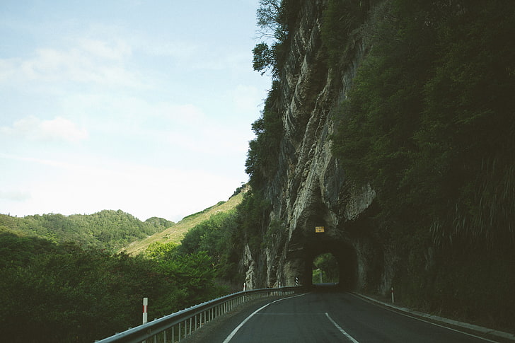 grauer Stahlzaun, Natur, Straße, Bäume, Tunnel, HD-Hintergrundbild