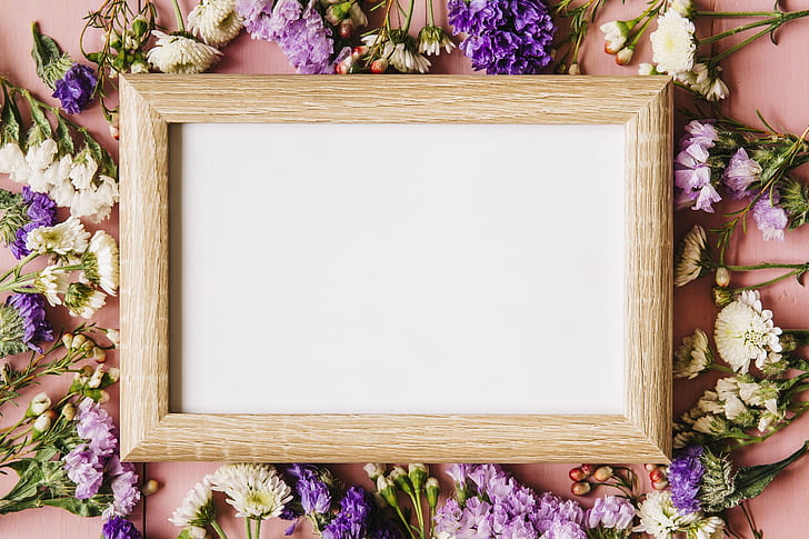 bunga, latar belakang, musim semi, bingkai, Papan, pink, Wallpaper HD