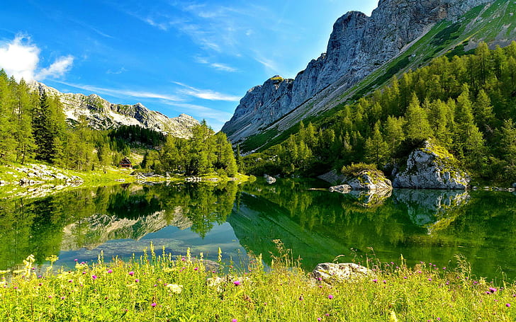 Lake Triglav-slovenia, clouds, lovely, stones, lake, lakeshore, nice, grass, beautiful, greenery, slovenia, shore, flowers, HD wallpaper
