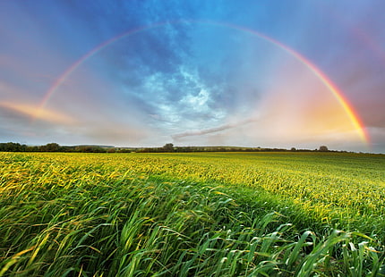 поле зеленой травы и радуга, лето, трава, пейзаж, радуга, космос, HD обои HD wallpaper