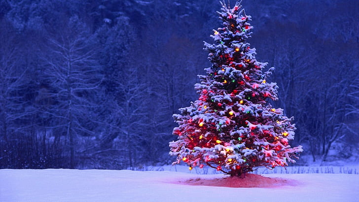 Рождество, снег, зима, праздник, рождественские огни, HD обои