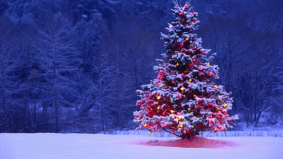 Christmas, snow, winter, holiday, christmas lights, HD wallpaper HD wallpaper