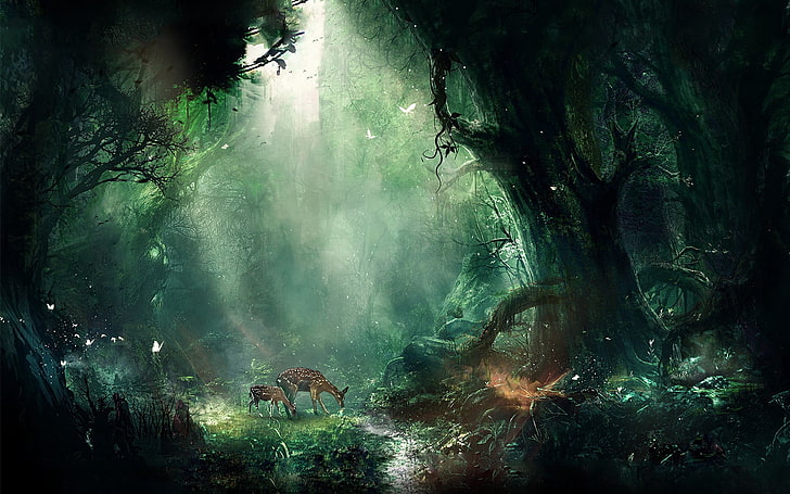 森、ジャングル、ファンタジー、鹿、蝶、夜、木々の真ん中に鹿、 HDデスクトップの壁紙