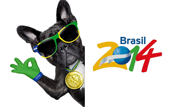 브라질 2014 로고, 브라질, fifa, 월드컵, 2014, 개, 불독, HD 배경 화면