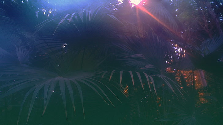 grüne Palmenpflanze, Dampfwelle, Glitch Art, HD-Hintergrundbild