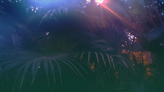نبات النخيل الأخضر ، vaporwave ، خلل الفن، خلفية HD HD wallpaper