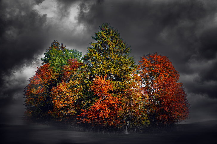 arbres à feuilles rouges et vertes, automne, coloré, sombre, ciel, arbres, nuages, Fond d'écran HD
