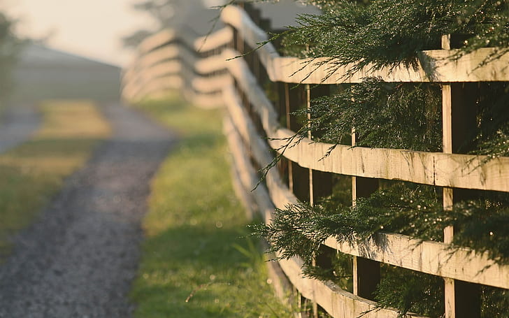 Fence, grass, road, morning, brown wooden fence, Fence, Grass, Road, Morning, HD wallpaper