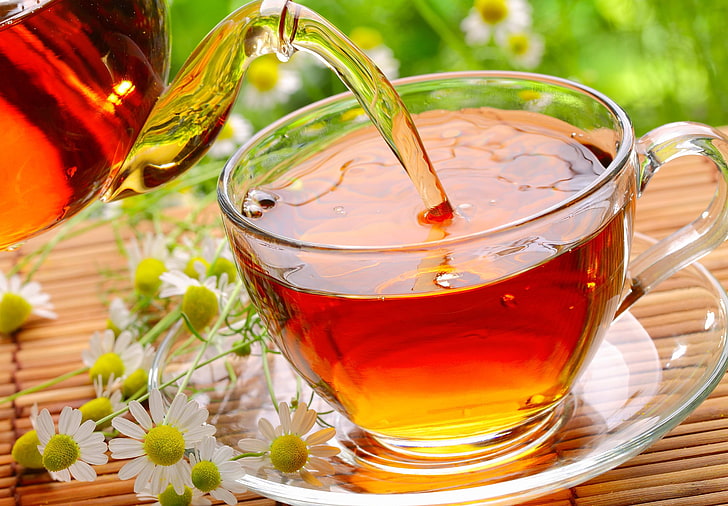 tazza da tè in vetro trasparente, vetro, fiori, tè, camomilla, tazza, piattino, opaco, Sfondo HD