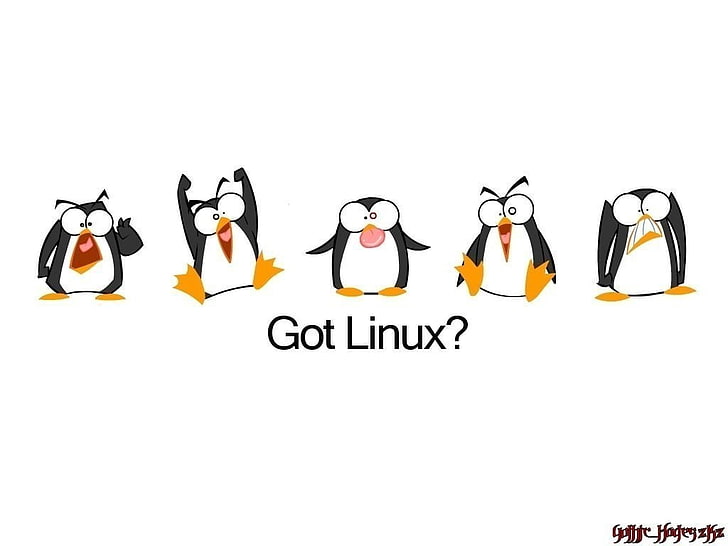 Abbildung mit fünf Schwarzweiss-Pinguinen, Technologie, Linux, HD-Hintergrundbild