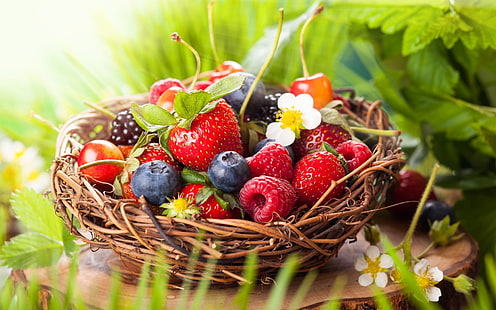 Essen, Mittagessen, Obst, Erdbeeren, Heidelbeeren, HD-Hintergrundbild HD wallpaper
