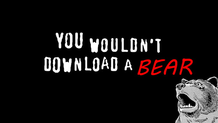 memes, bears, typography, humor, minimalism, You wouldn't Download, red, HD wallpaper